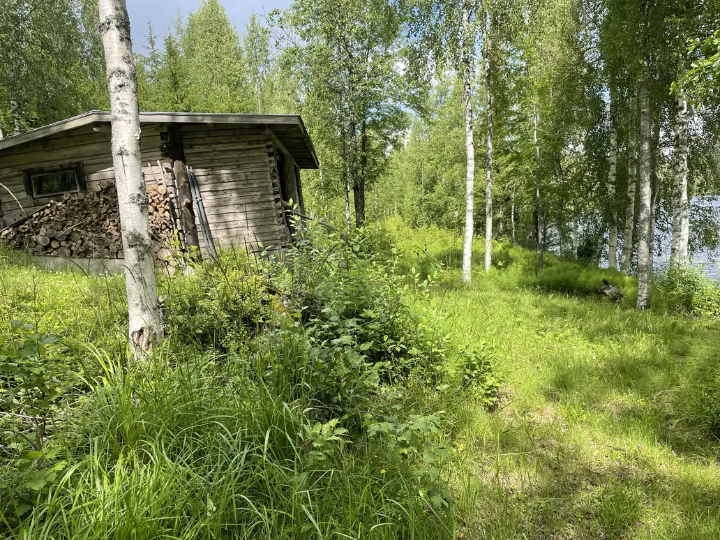 Vihreä metsämaisema